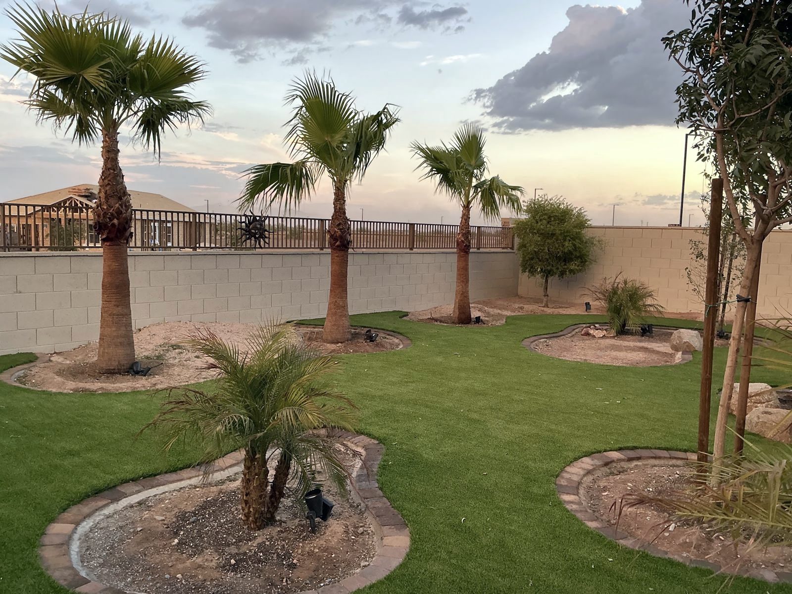 Turf lawn with paver-edged palm islands at sunset
